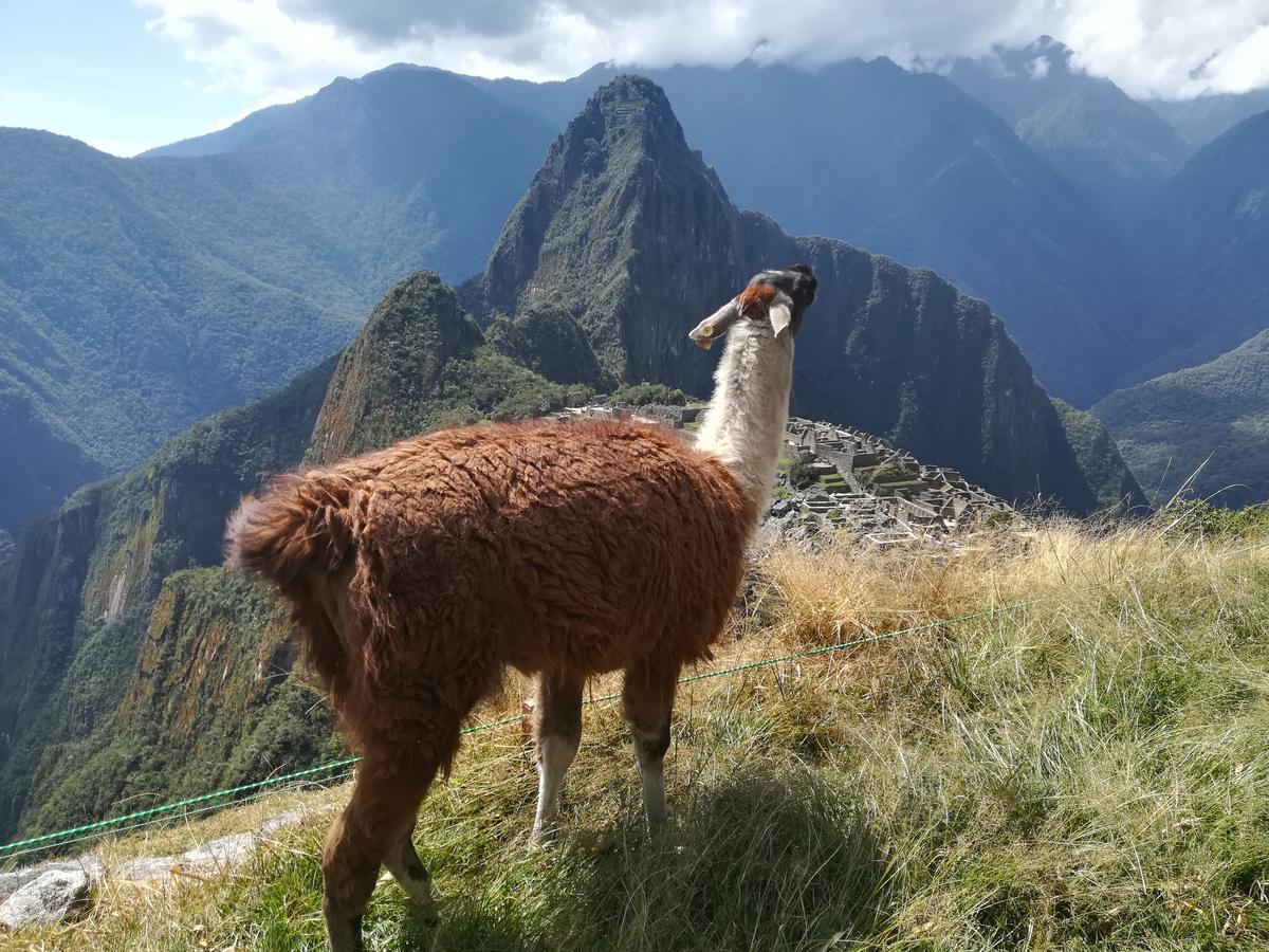 Golden Sunrise Machupicchu Hotel Buitenkant foto